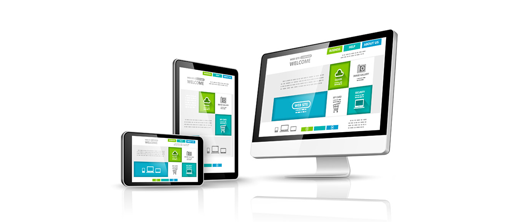 PROFESSIONAL BUSINESS SOLUTIONS